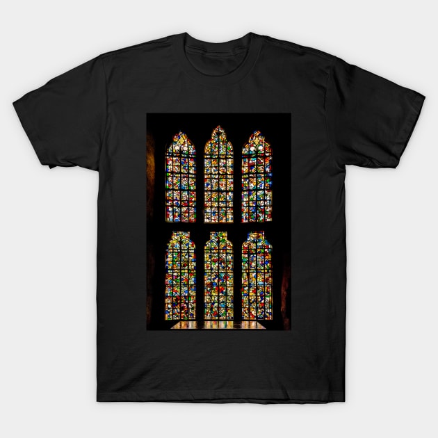 Windows of a King T-Shirt by Enzwell